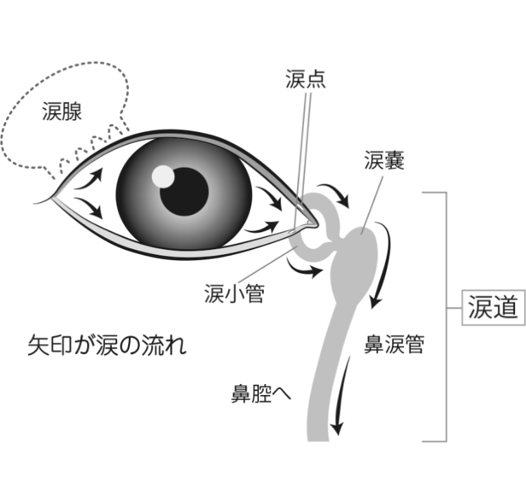 涙が止まらない「流涙症」とは?手術と治療法を眼科医が解説 - 東大阪・大東市の眼科ならよねだ眼科・整形外科クリニック